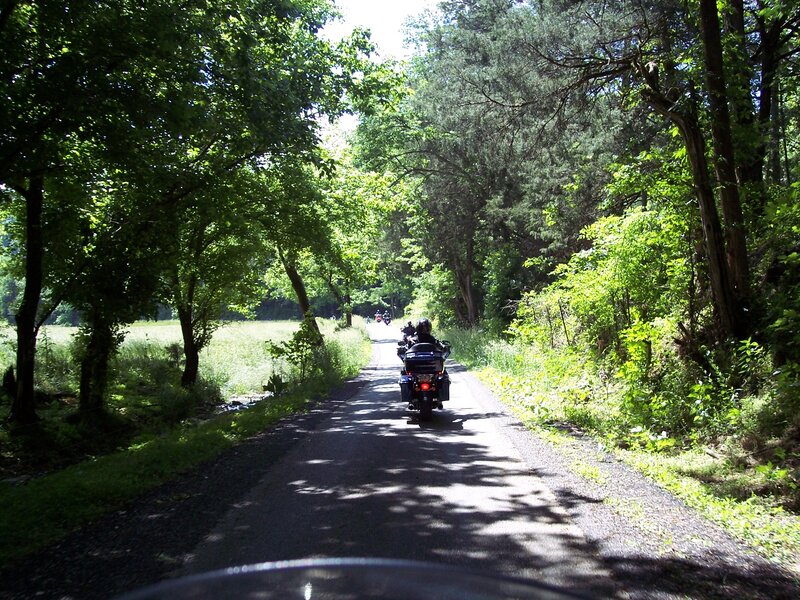 Motorcycle on Forest Road — Green, Serene