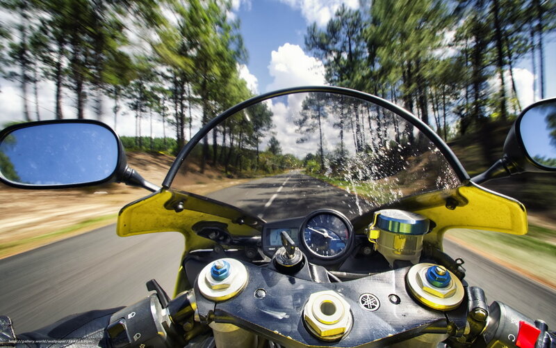 Motorcycle on Forest Road — Yellow