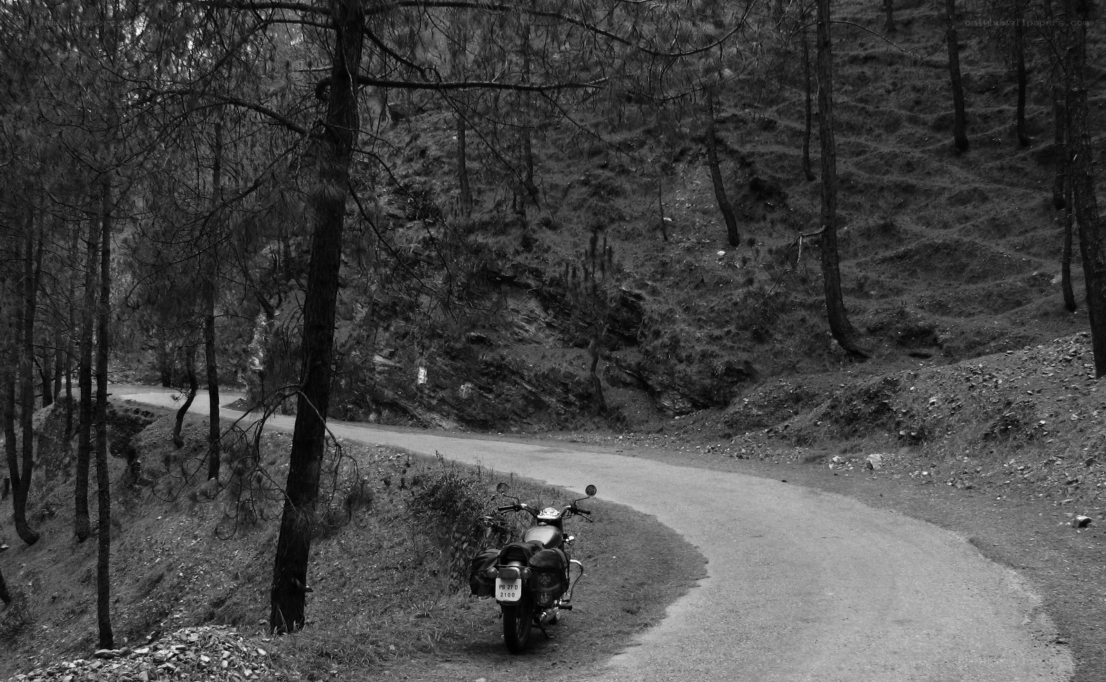 motorcycle on forest road