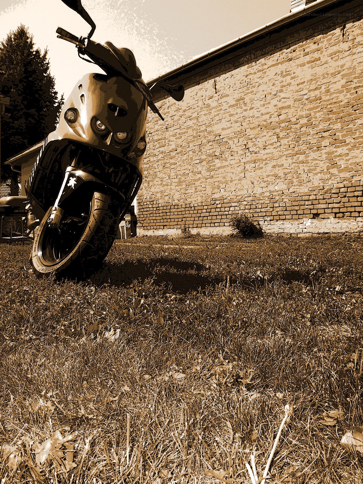 motorcycle on grass near brick wall