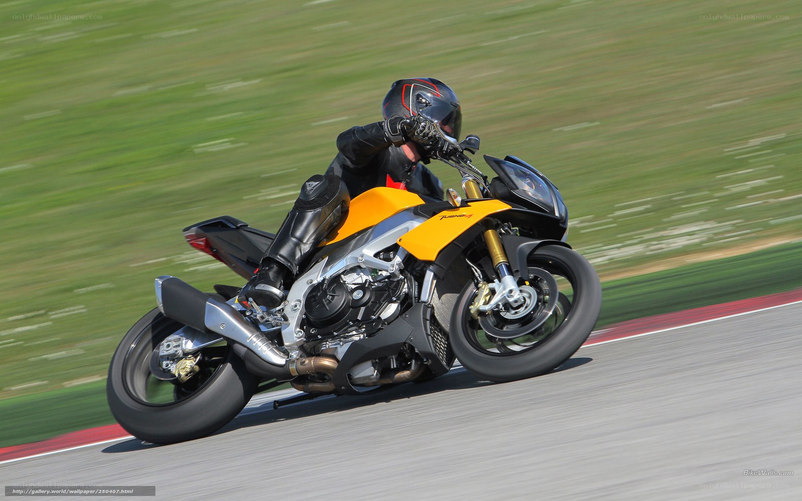 motorcycle on racetrack