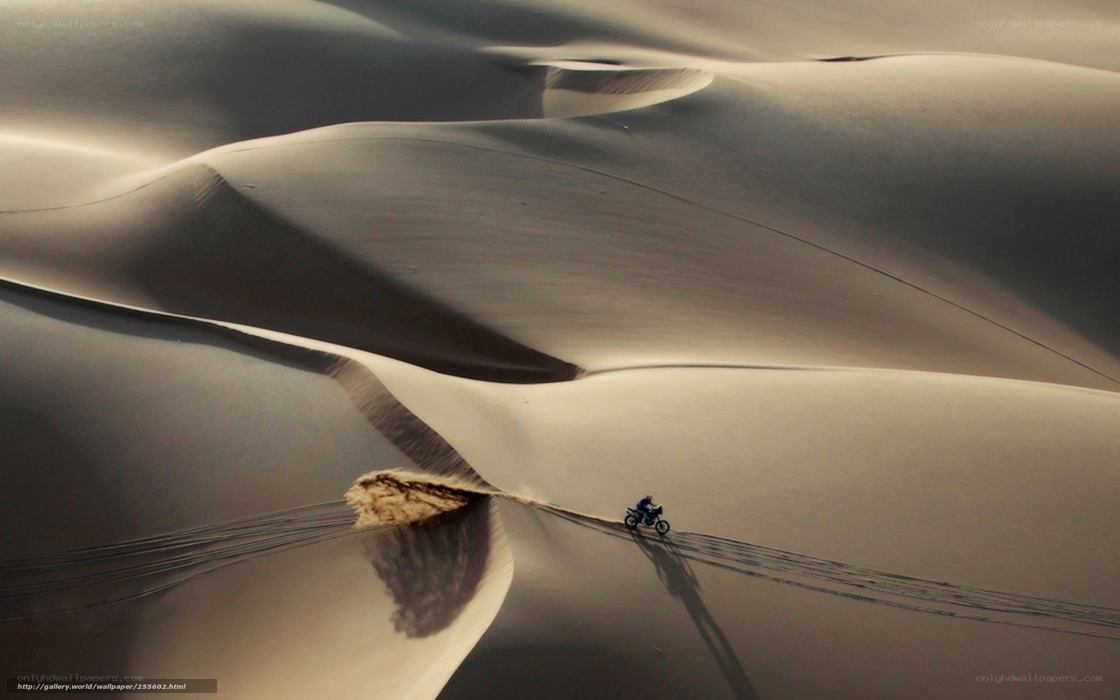 Motorcycle on sand dunes
