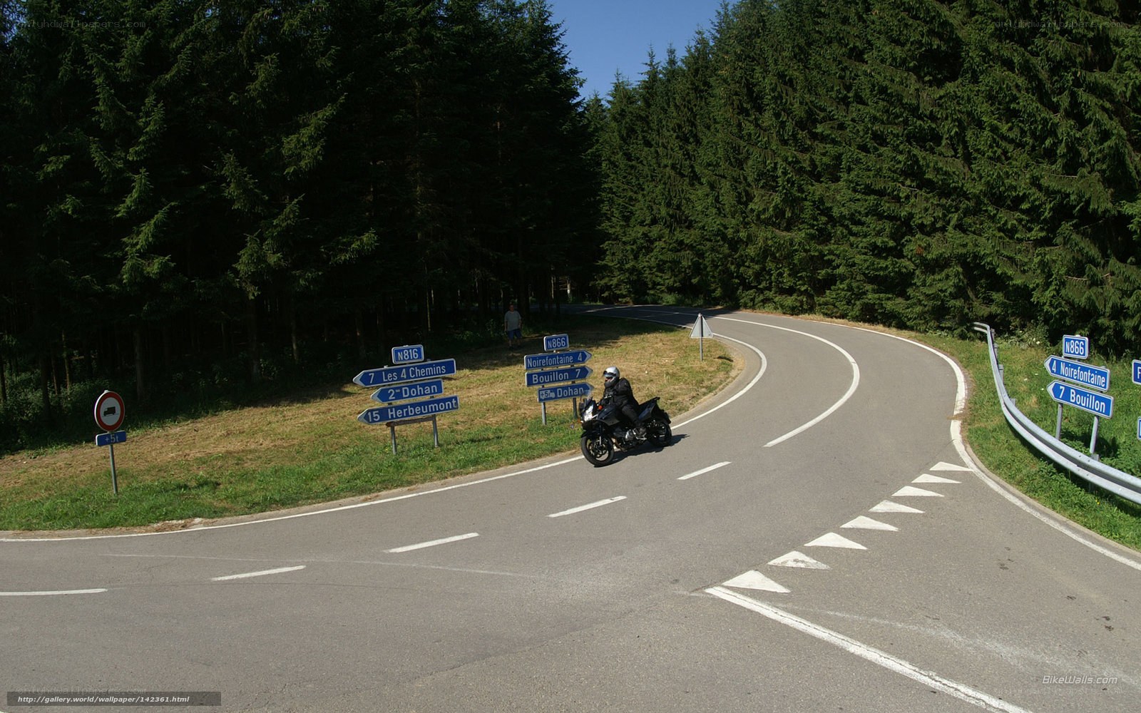 Motorcycle on winding forest road