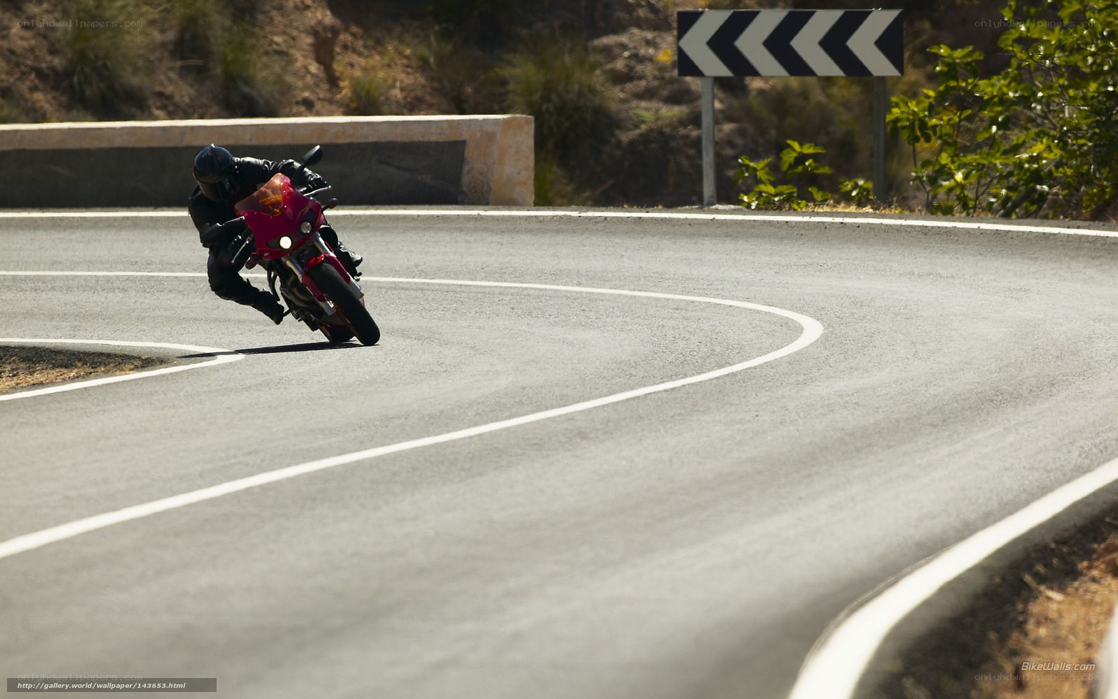 motorcycle on winding road