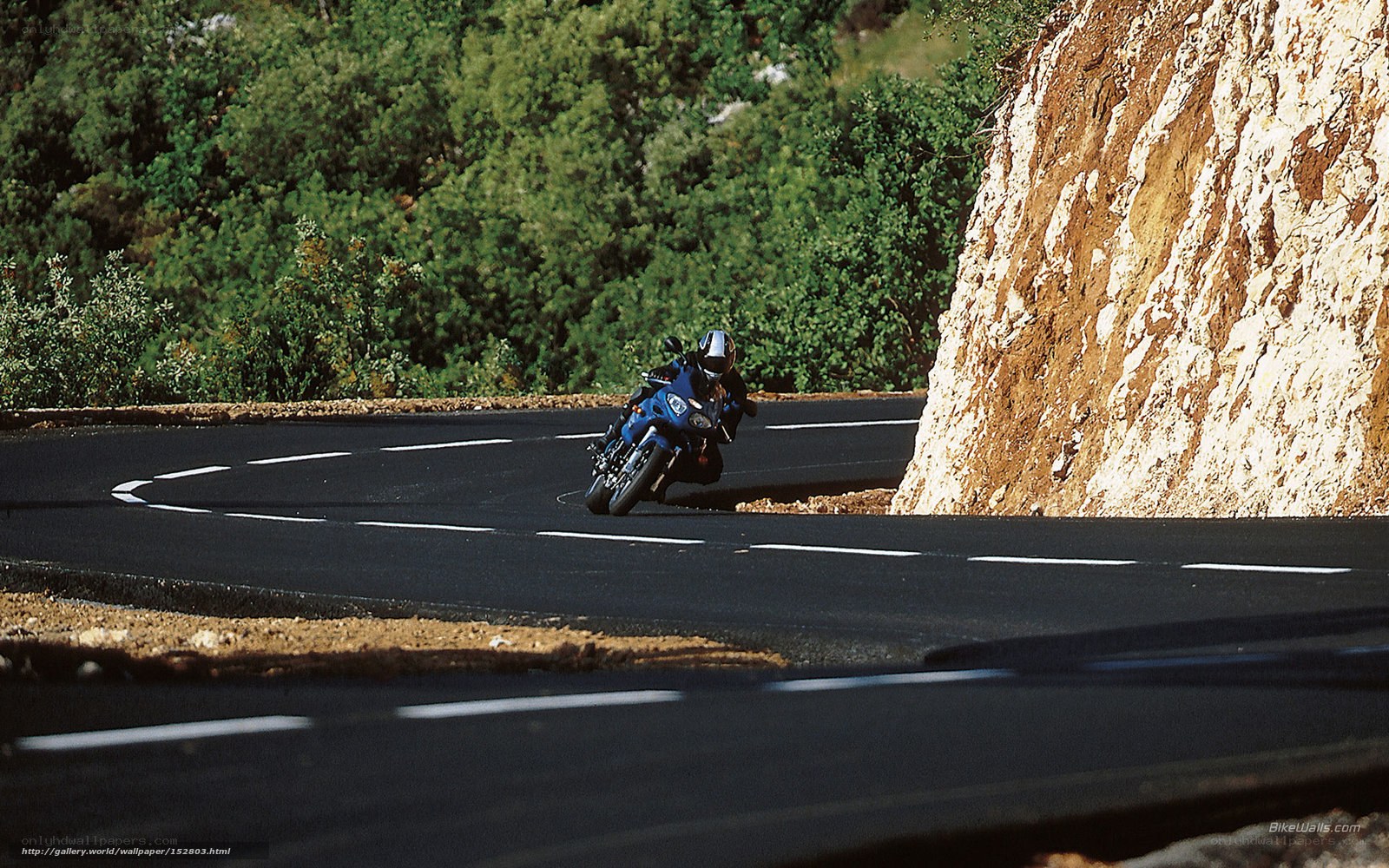 motorcycle on winding road