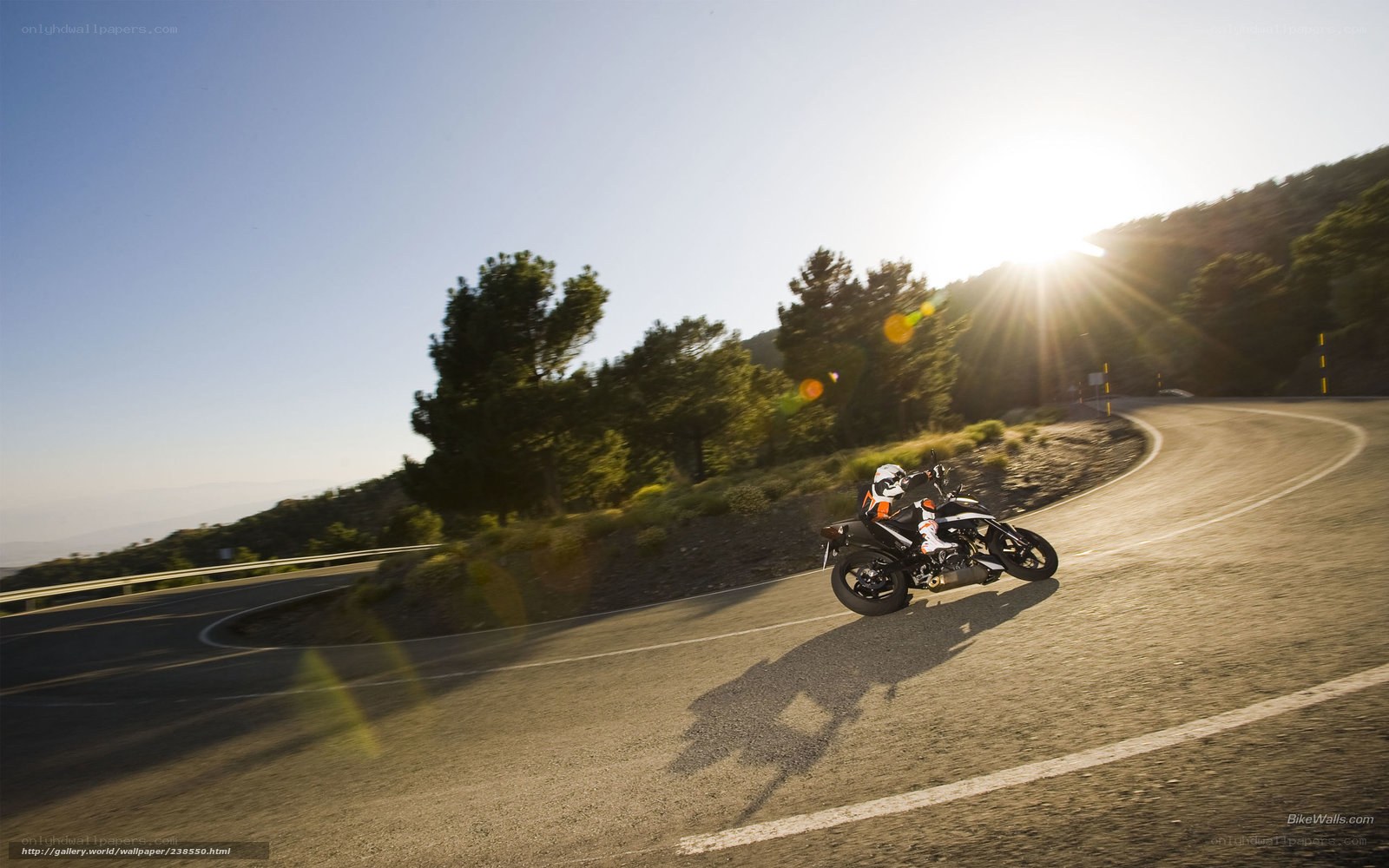 Motorcycle on winding road