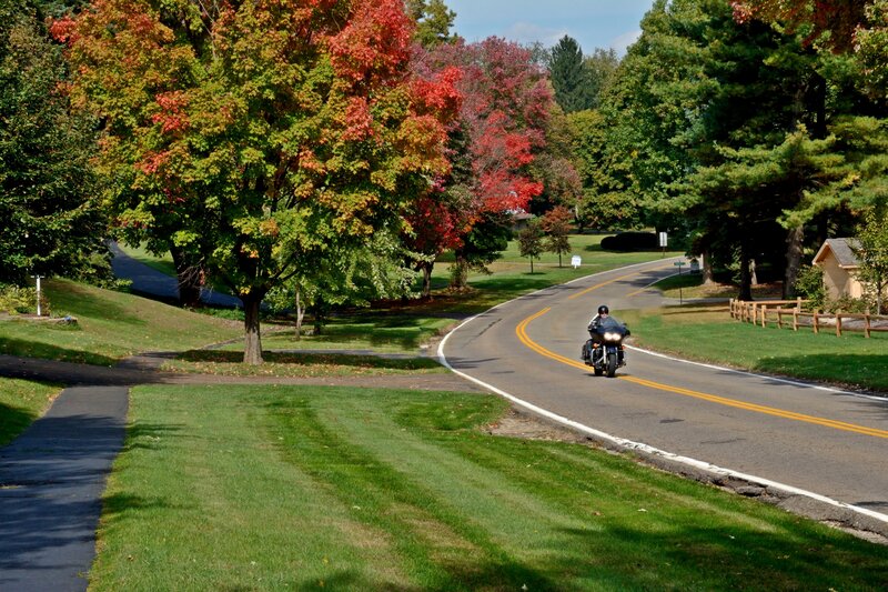 Motorcycle on Winding Road — Green, Serene, Autumn