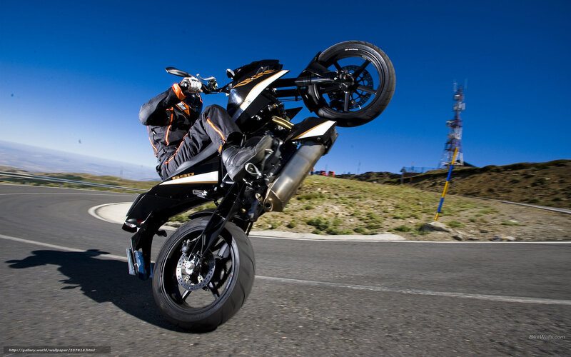 motorcycle performing wheelie