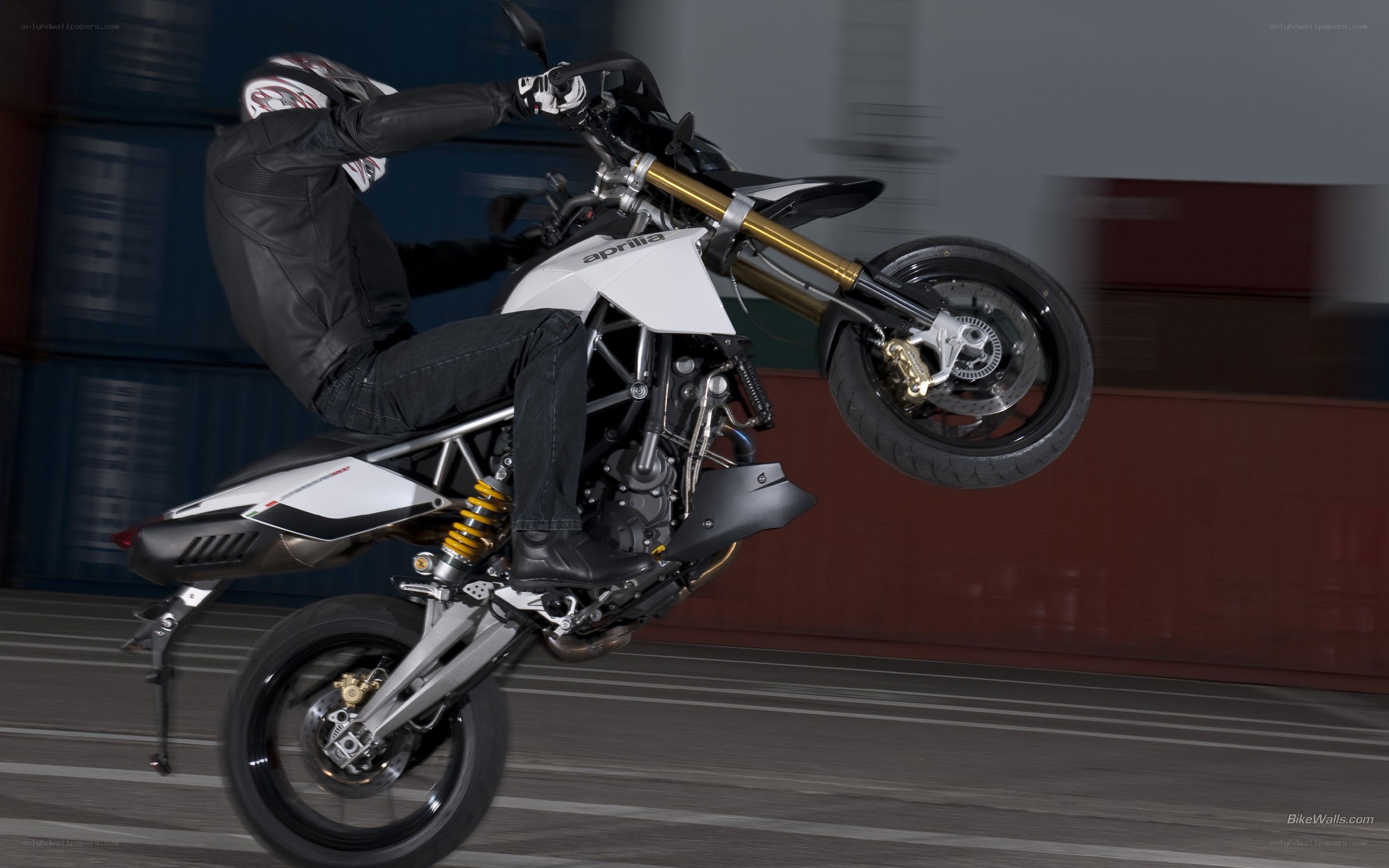 motorcycle performing wheelie