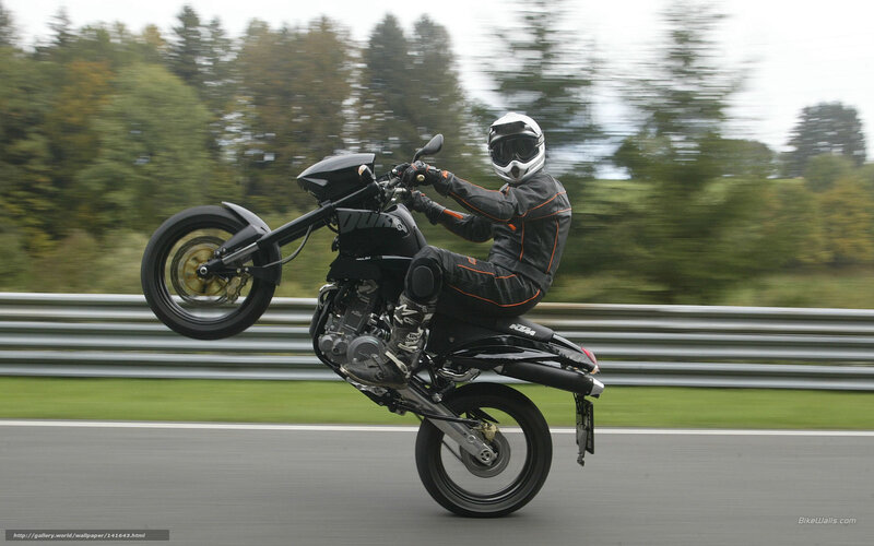 motorcycle performing wheelie