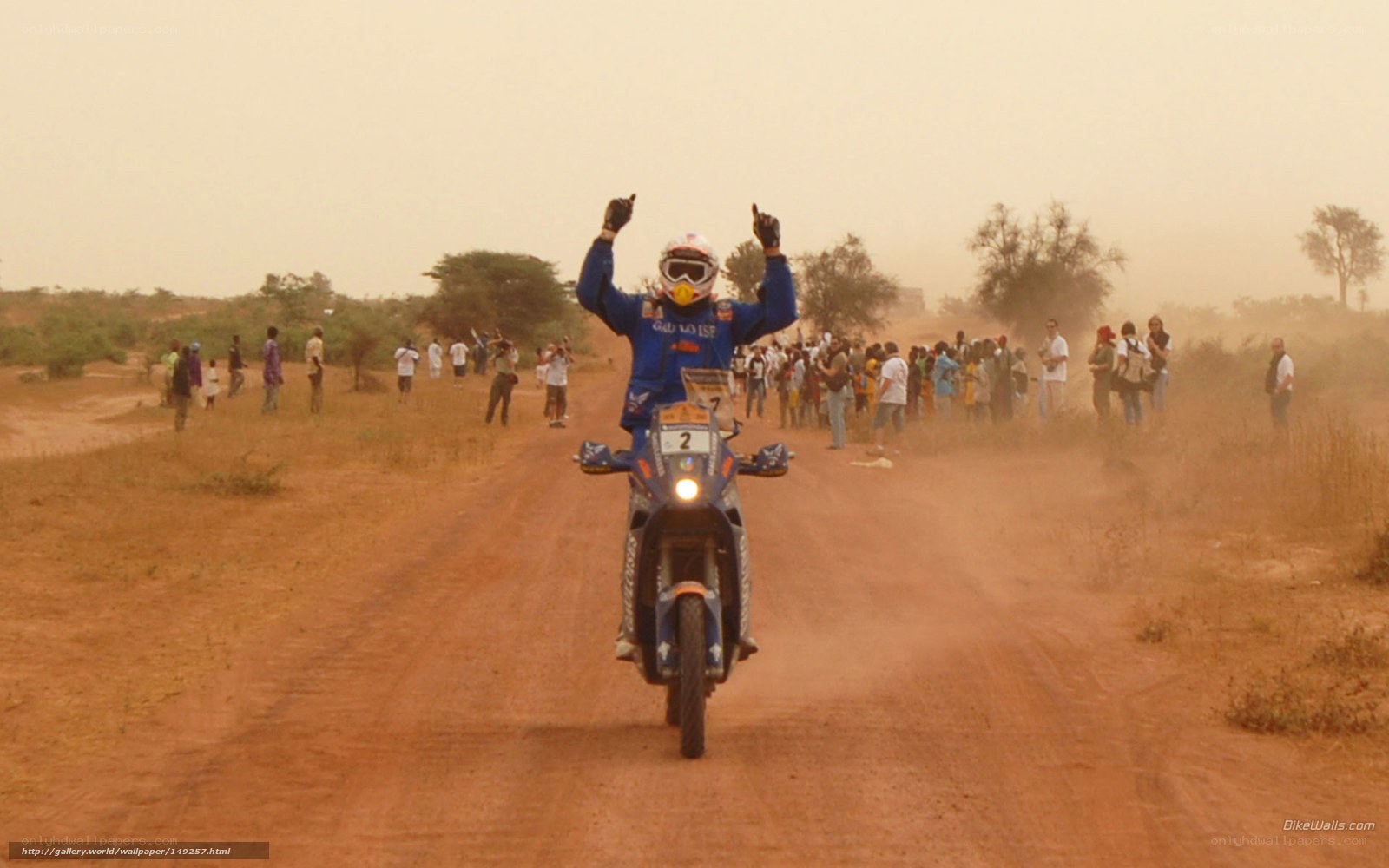 motorcycle racer celebrates victory