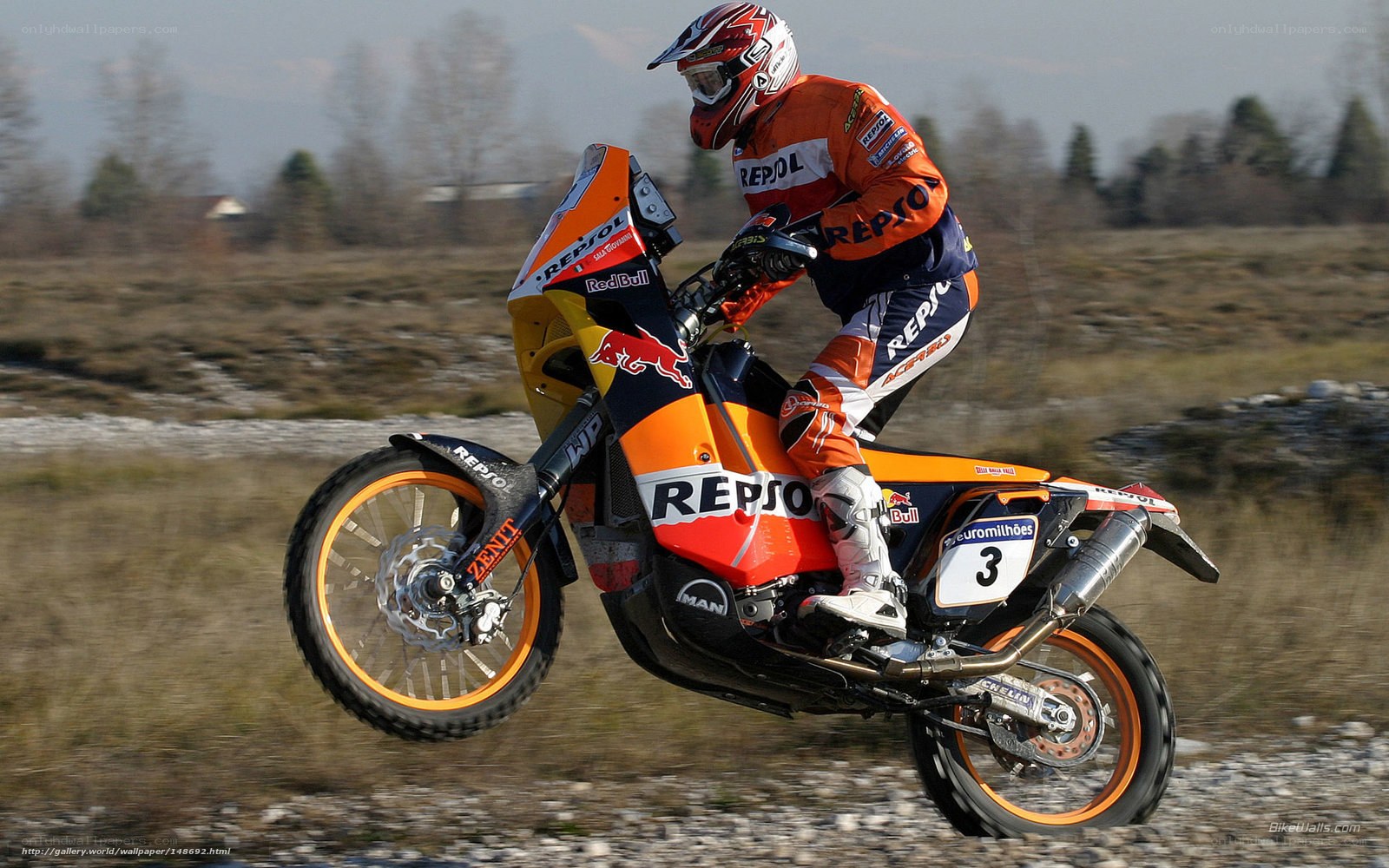 motorcycle racer in action