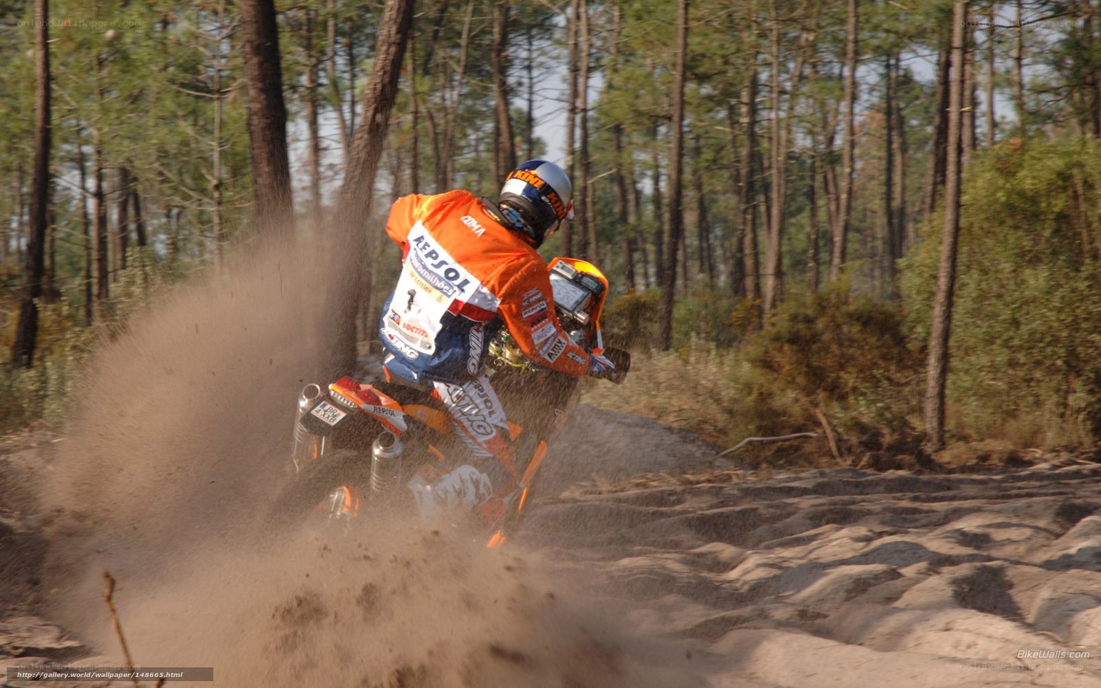 Motorcycle racer in forest
