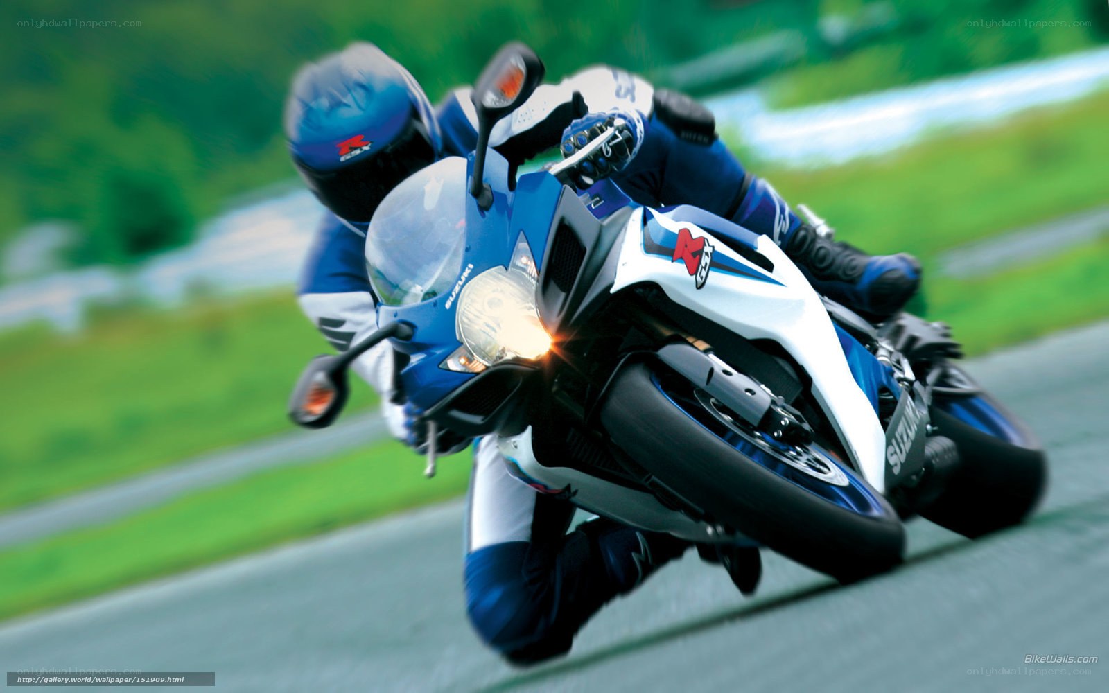 motorcycle racer on a blue bike