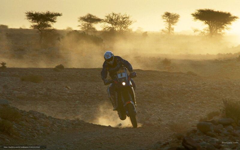Motorcycle Racer on Dirt — Brown, Dramatic
