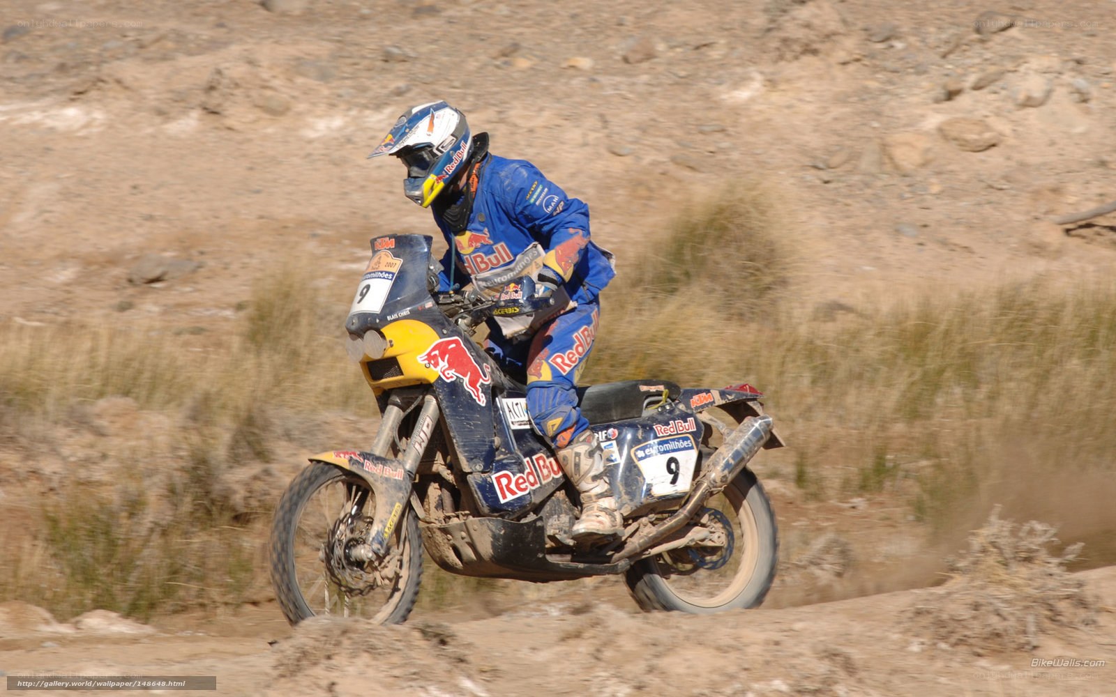 motorcycle racer on dirt track