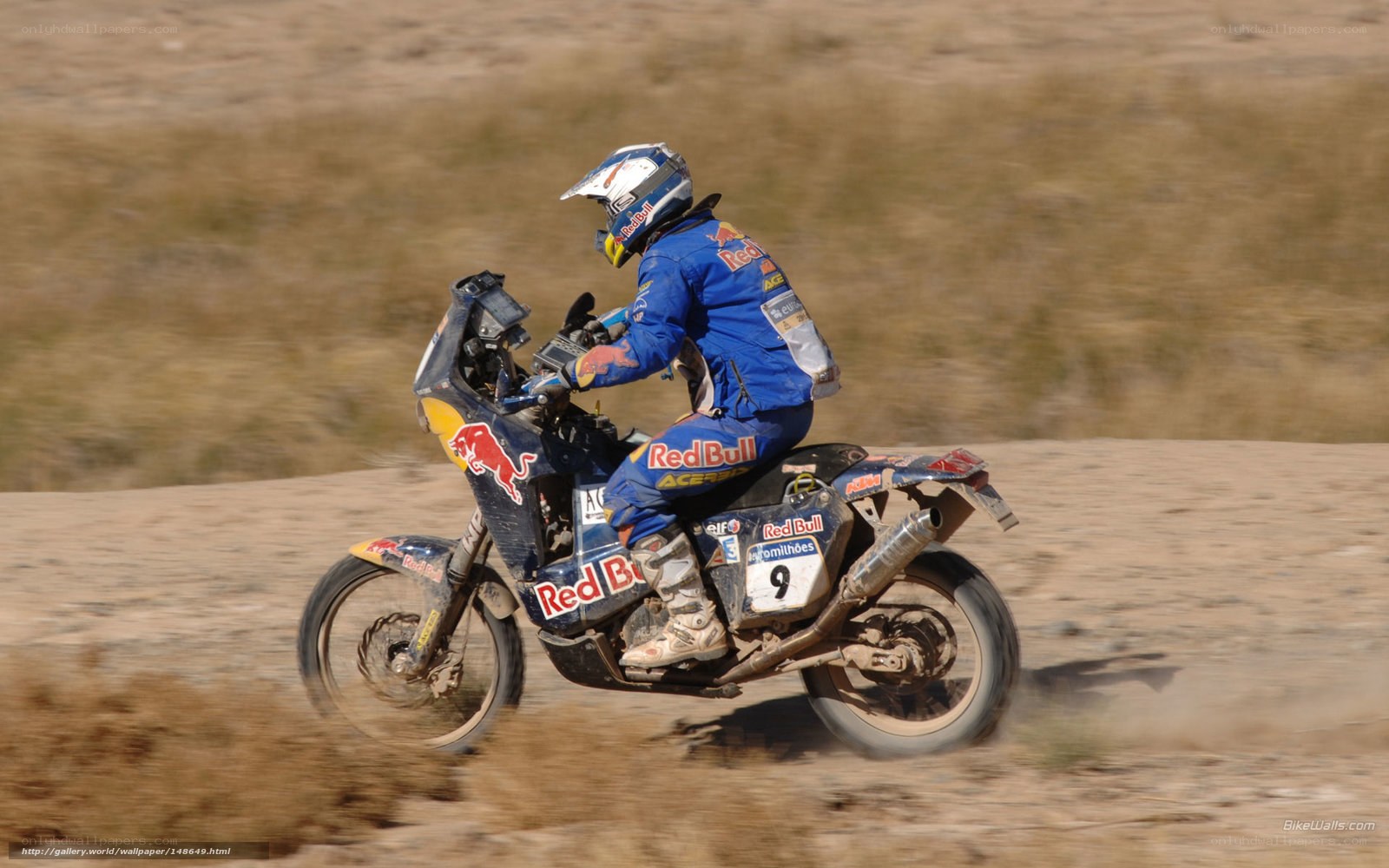 motorcycle racer on dirt track