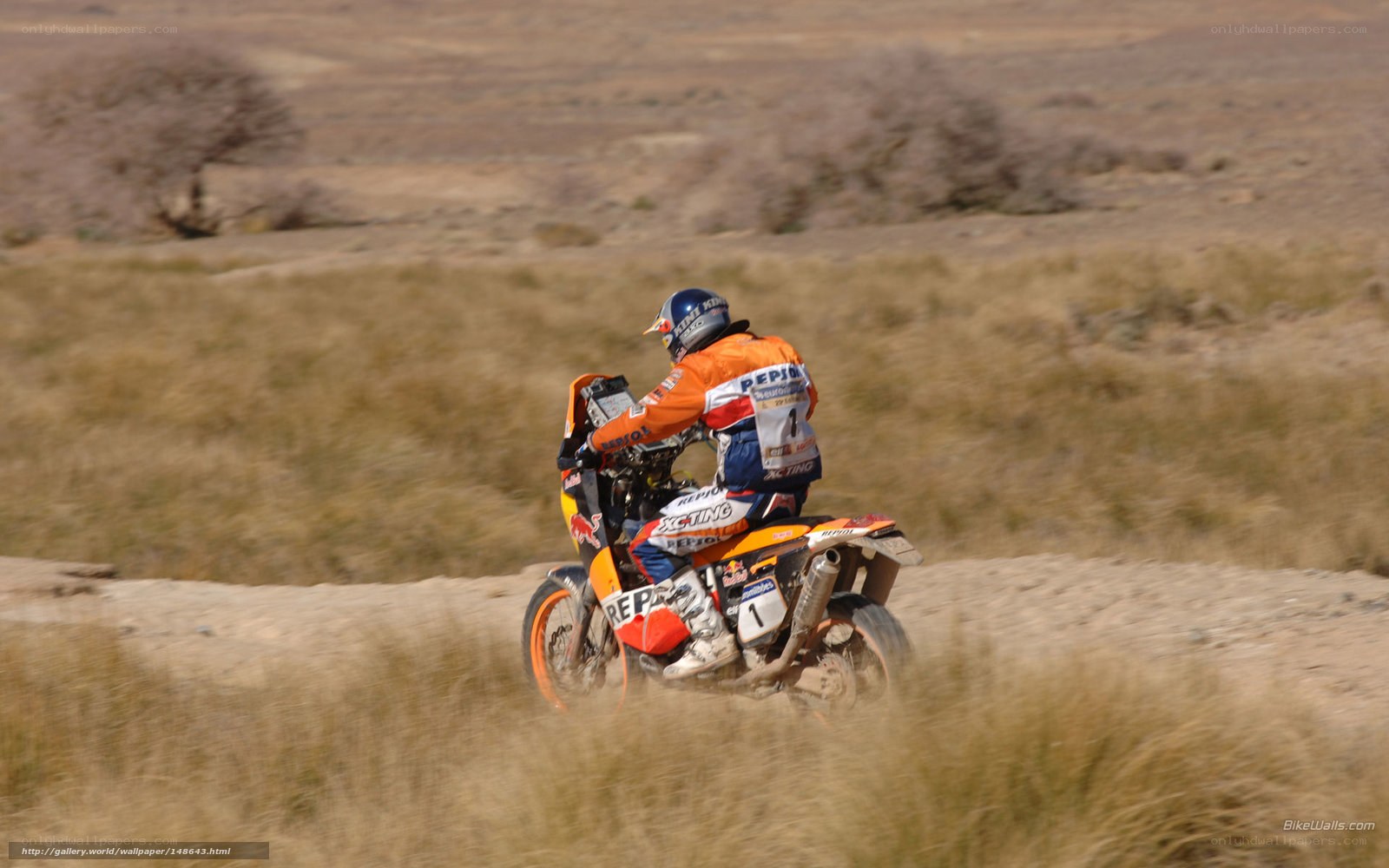 motorcycle racer on dirt track