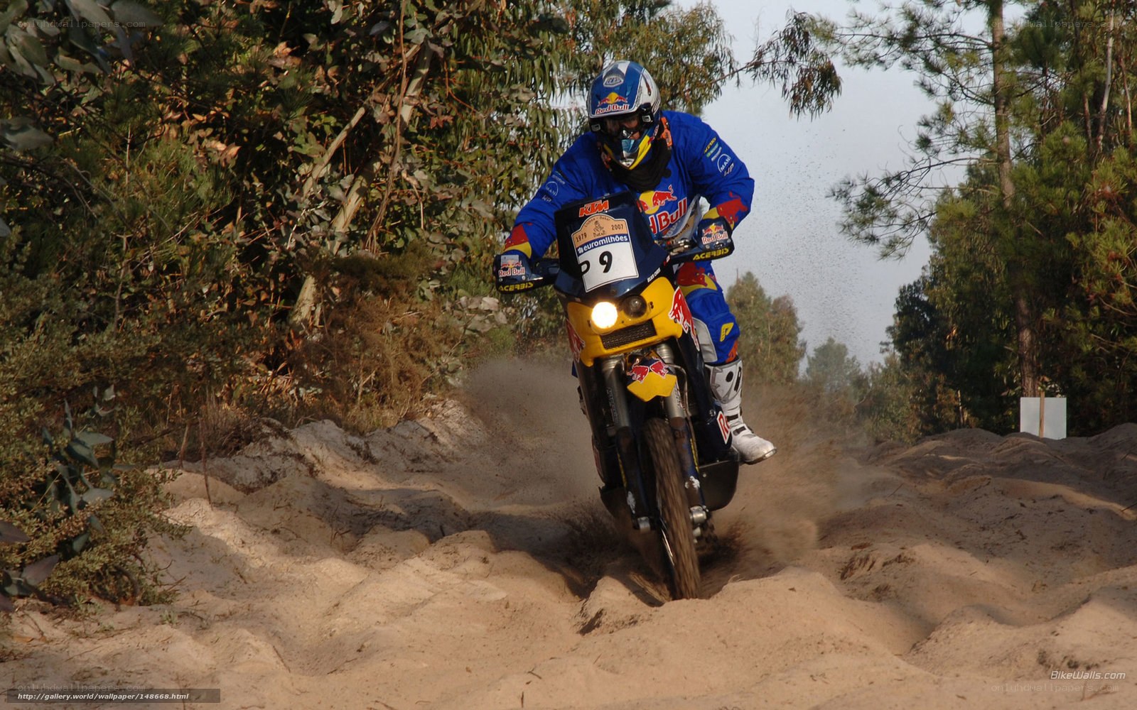 motorcycle racer on sandy track
