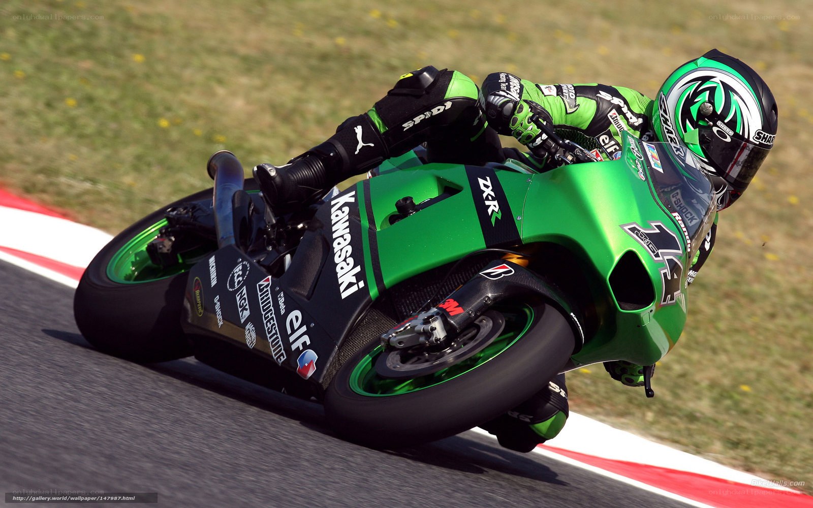 motorcycle racer on track