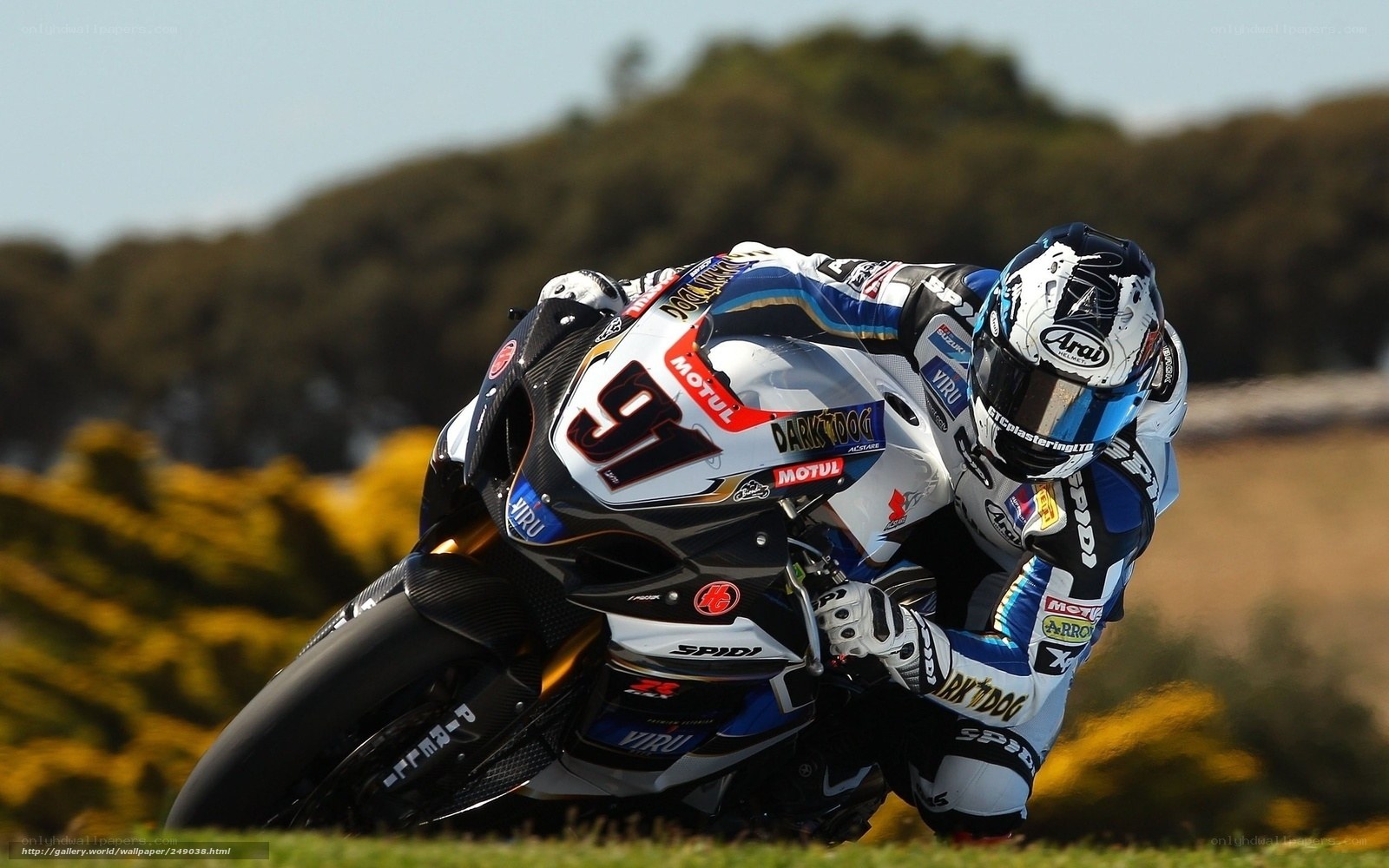motorcycle racer on track