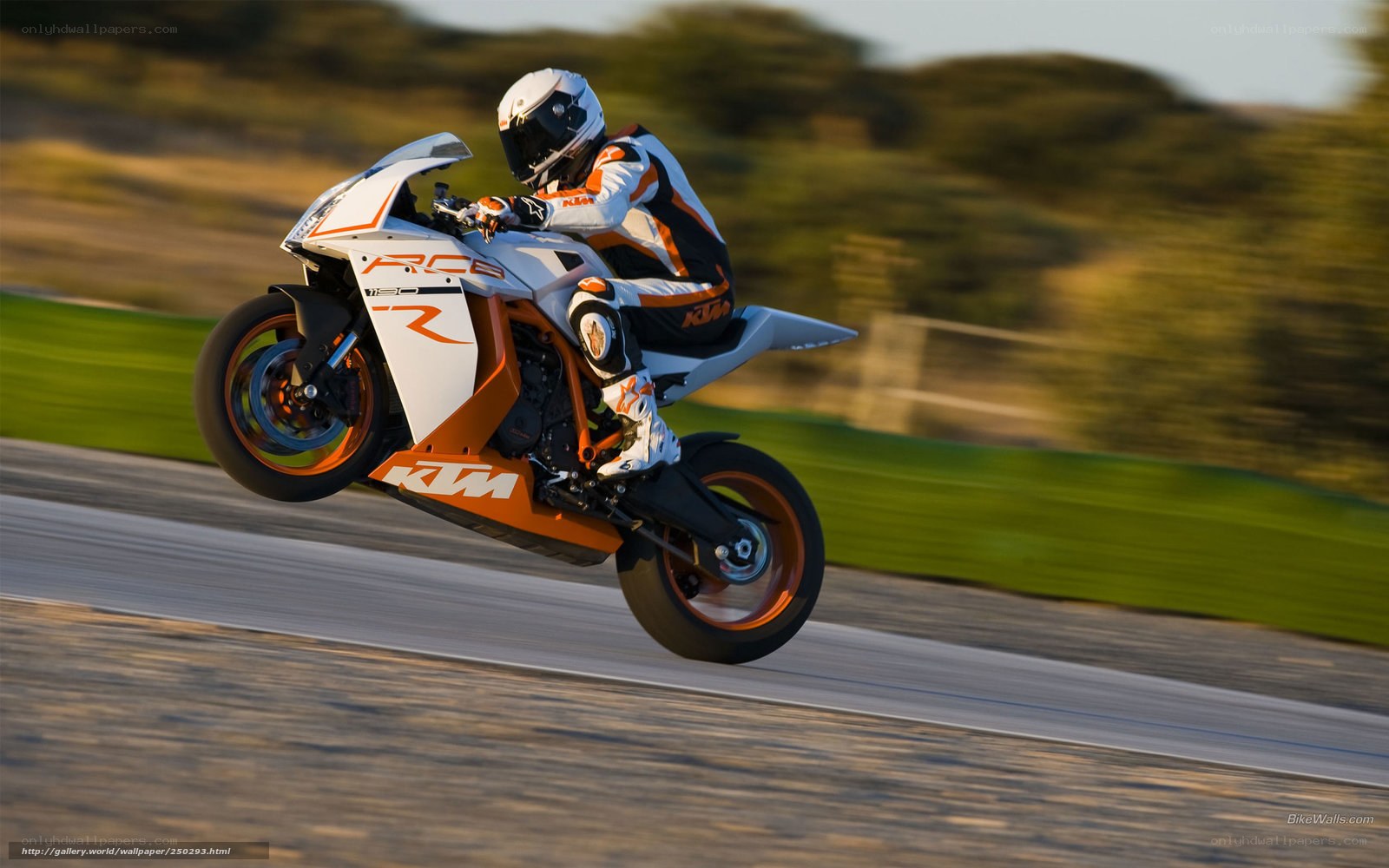 motorcycle racer on track