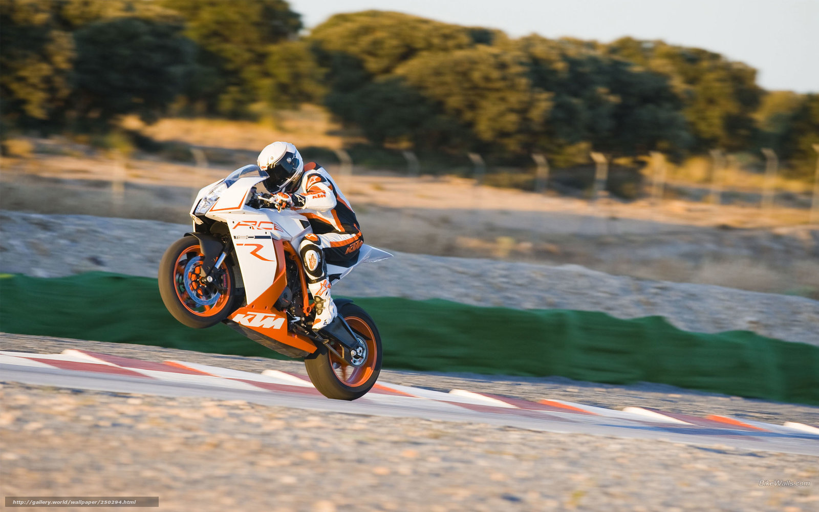 motorcycle racer on track