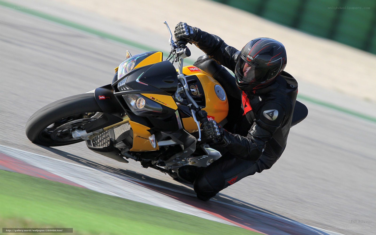 motorcycle racer on track