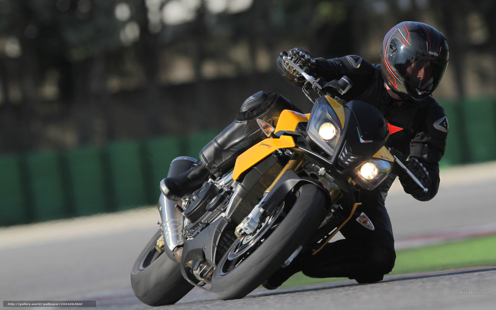 motorcycle racer on track