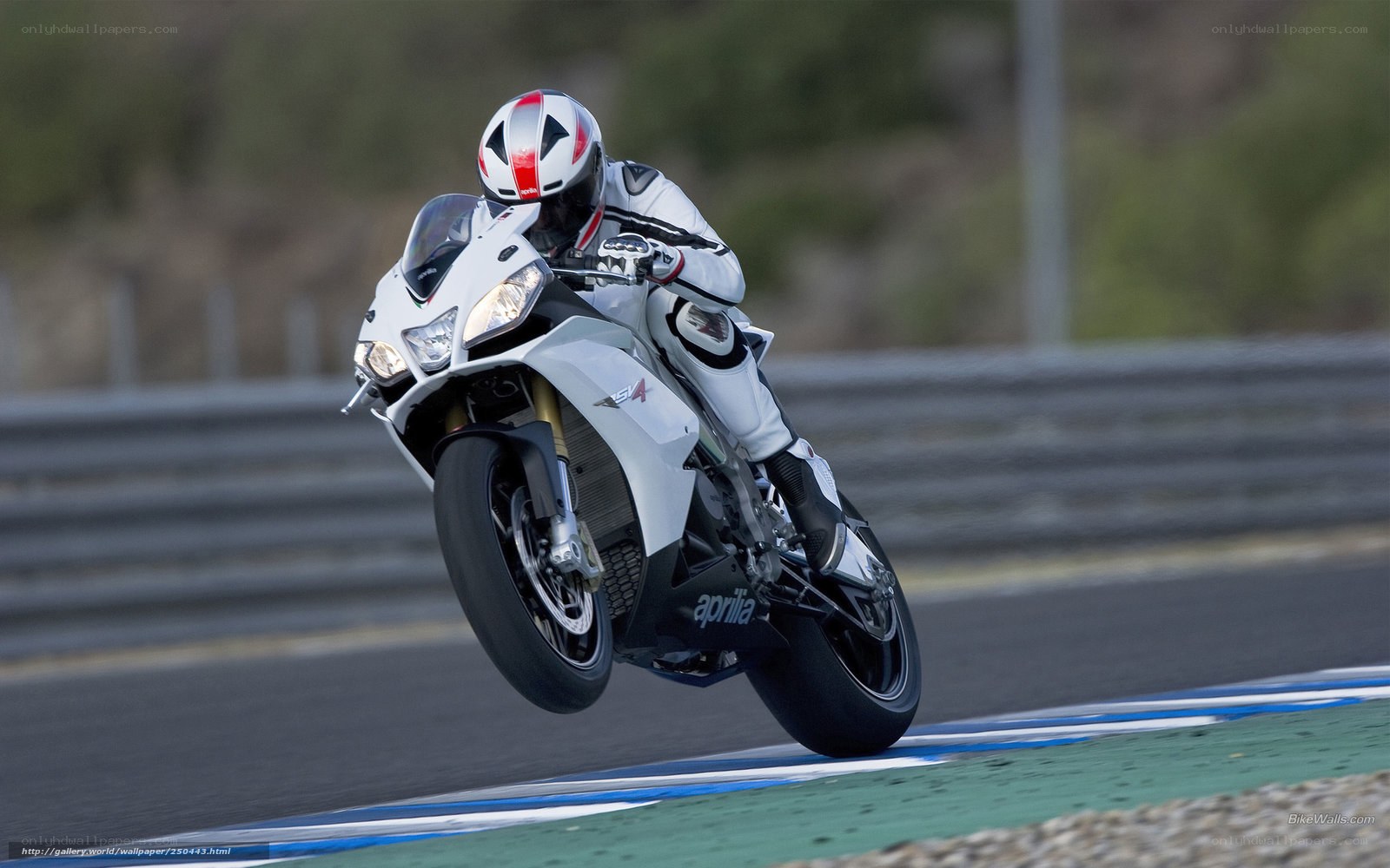 motorcycle racer on track
