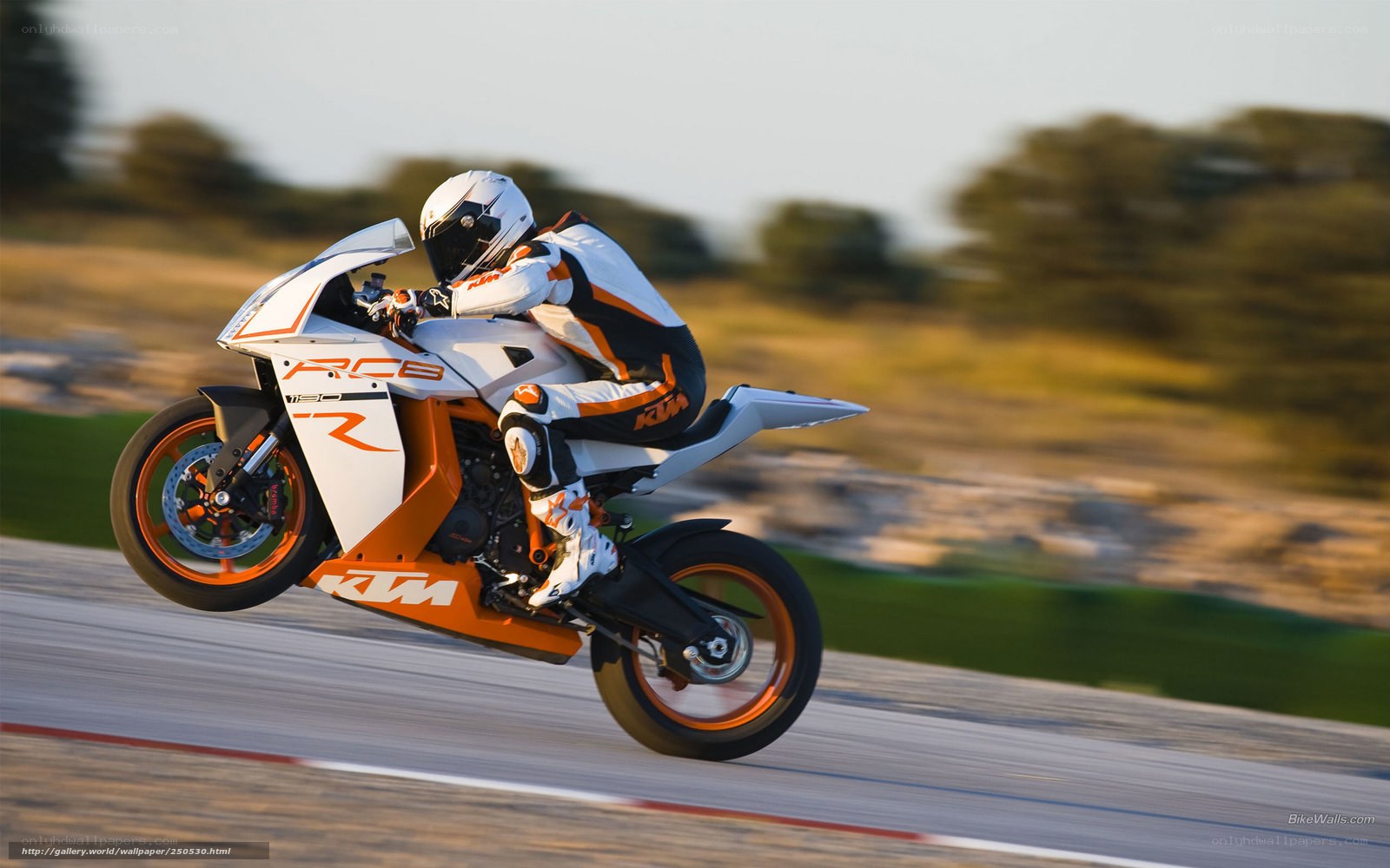 motorcycle racer on track