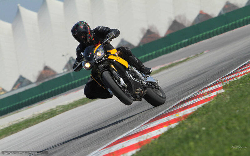 Motorcycle Racer on Track — Black, Dynamic, Afternoon, Photograph, Green Barrier