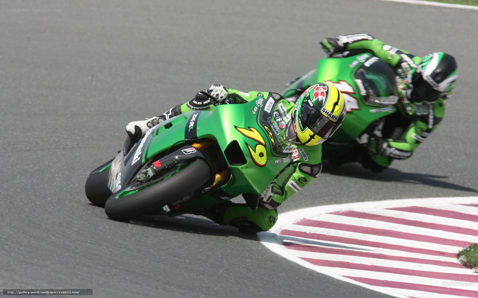 Motorcycle racers on a track