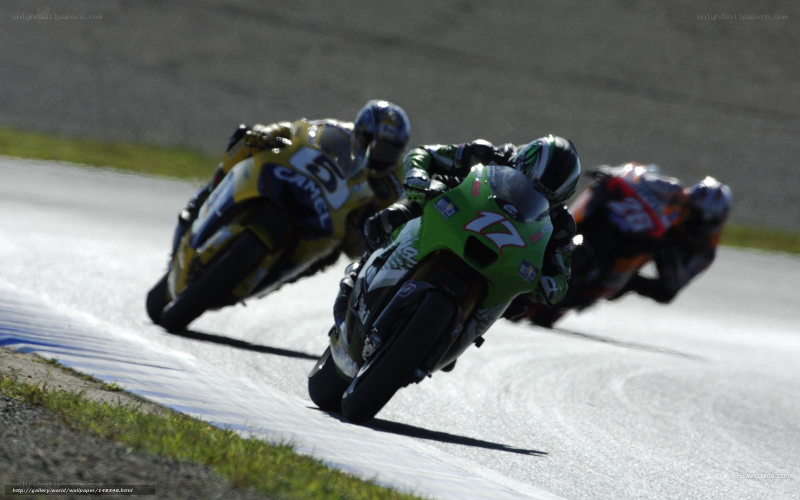 Motorcycle racers on a track