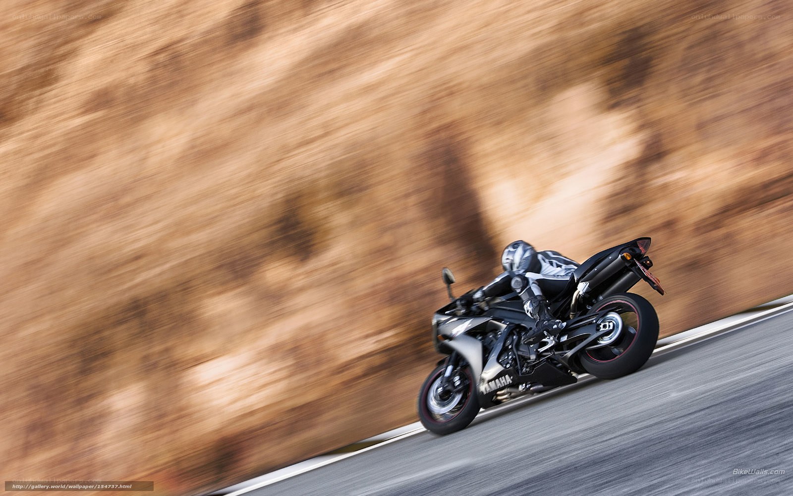 Motorcycle racing on a road