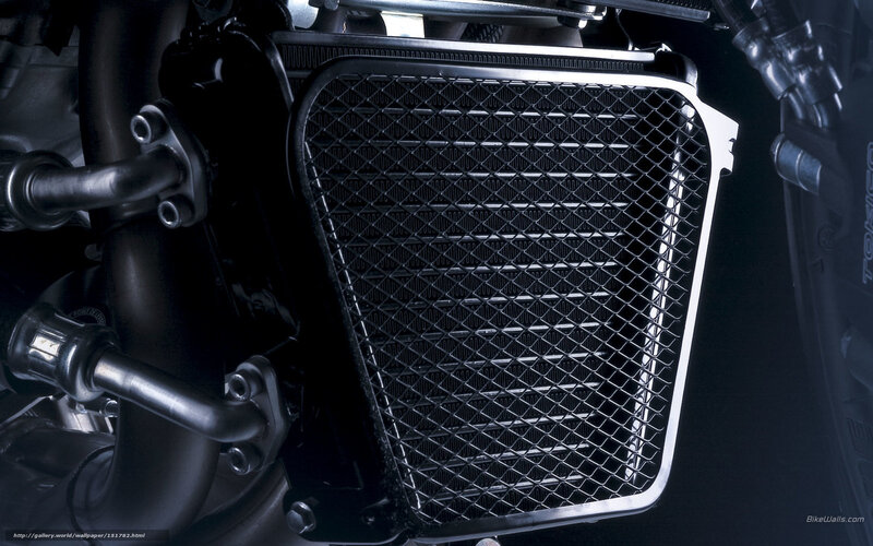 motorcycle radiator grille
