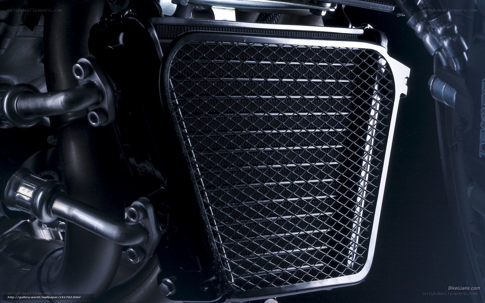 motorcycle radiator grille