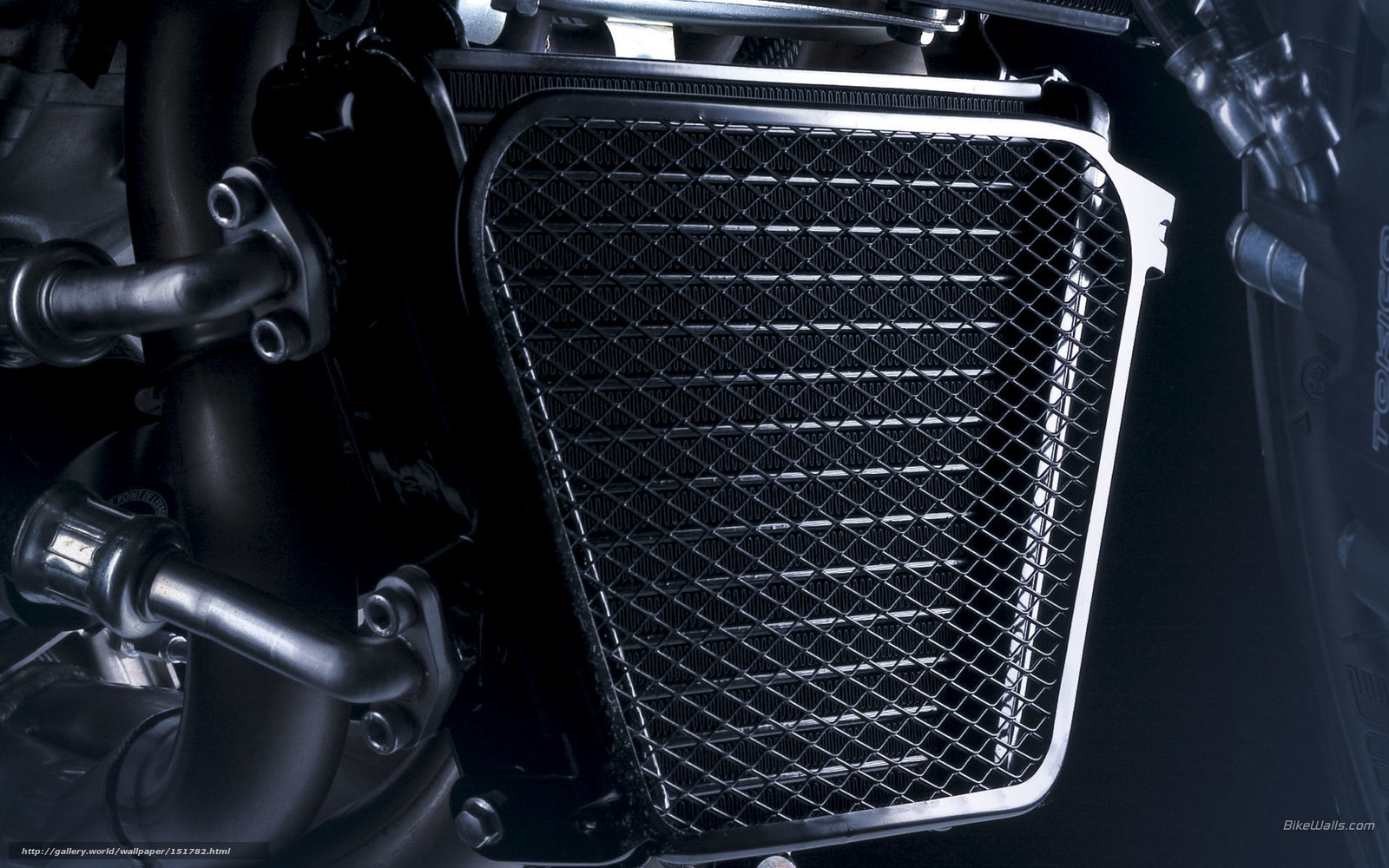 motorcycle radiator grille