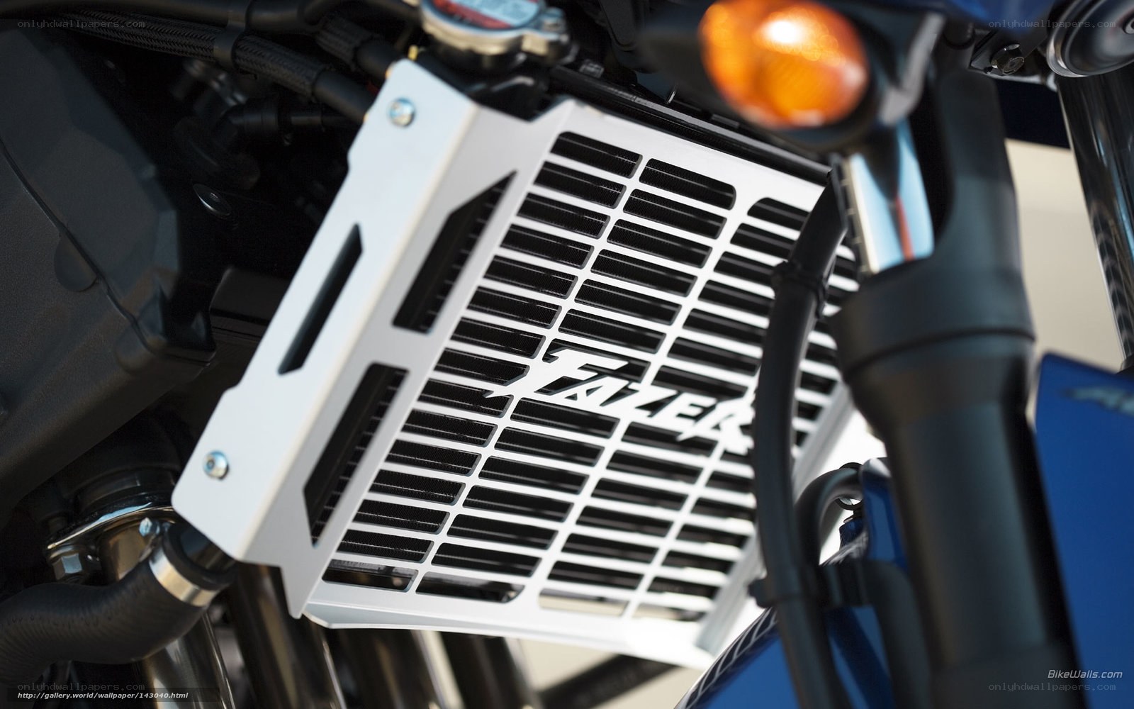 motorcycle radiator guard