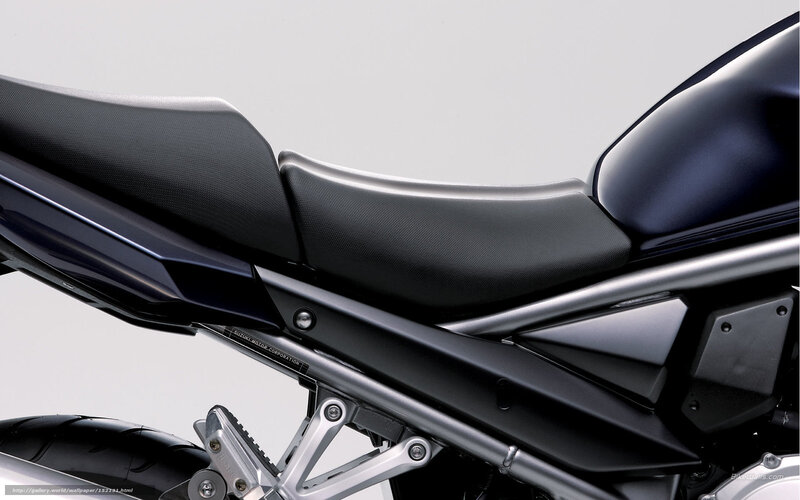 Motorcycle Rear Seat — Black, Neutral