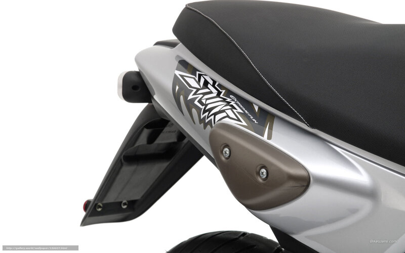 Motorcycle Rear Section — Silver