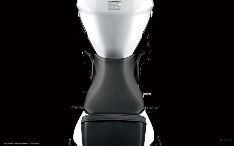 Motorcycle Rear View — Black, Dramatic, Photograph, Seat