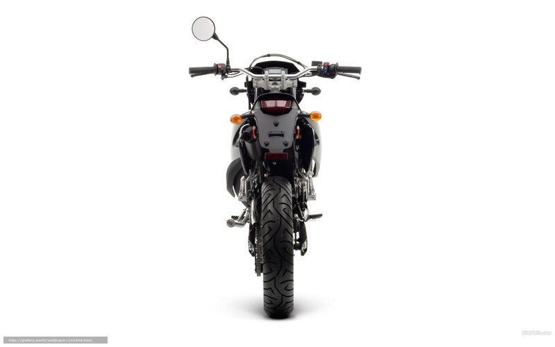 Motorcycle Rear View — Black, Neutral, Photograph, Handlebars, Taillight
