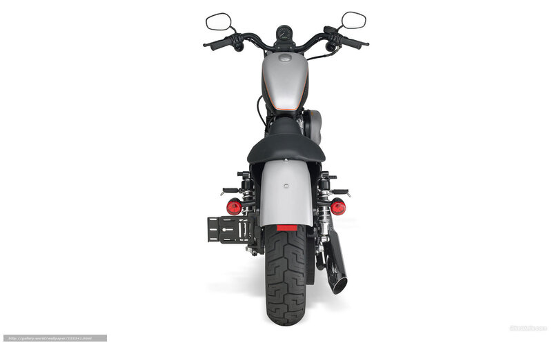 Motorcycle Rear View — Black, Neutral, Photograph, Handlebars