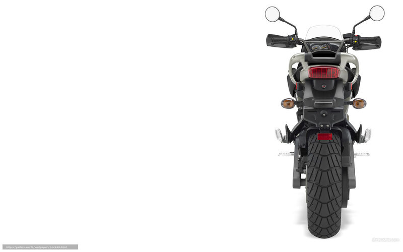 Motorcycle Rear View — Black, Neutral, Photograph, Rear Tire, Taillight