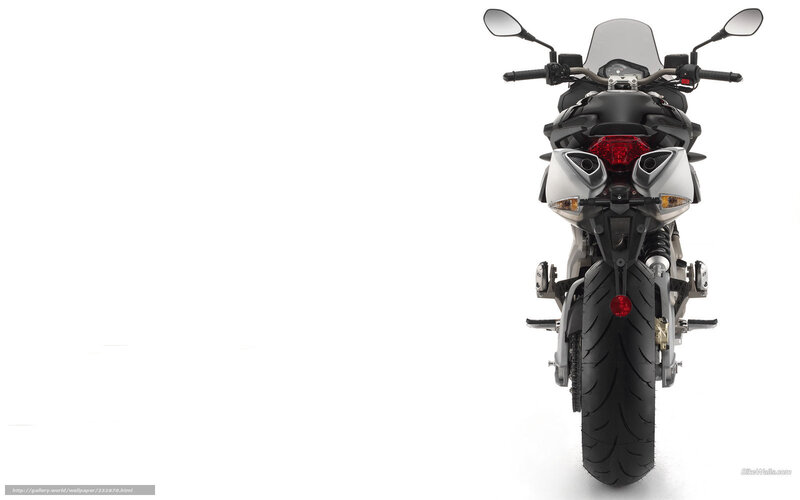 Motorcycle Rear View — Black, Neutral, Photograph, Rear Wheel