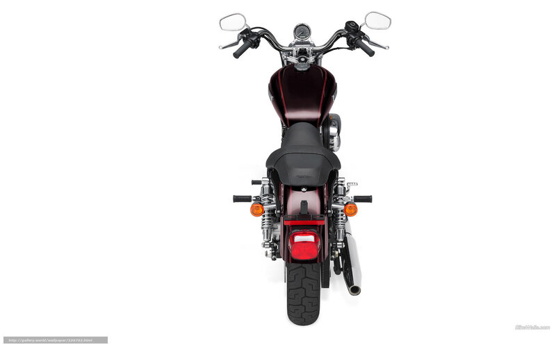 Motorcycle Rear View — Black, Neutral, Photograph, Seat