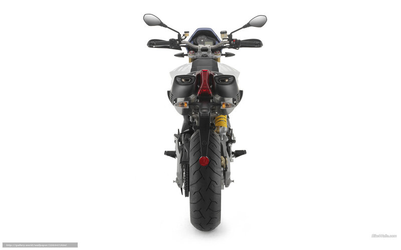 Motorcycle Rear View — White, Neutral, Photograph, Rear Wheel