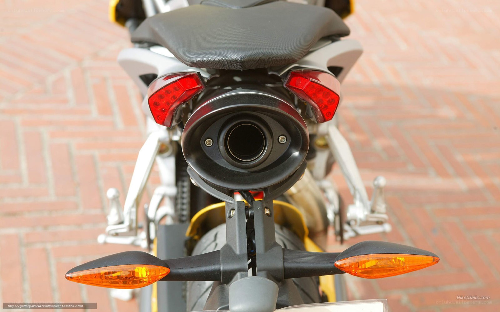 motorcycle rear view