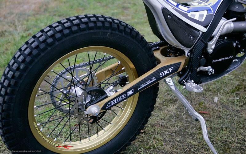 motorcycle rear wheel details